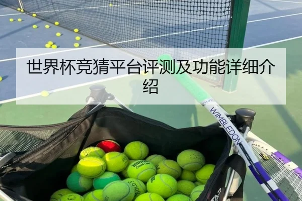 世界杯竞猜平台评测及功能详细介绍