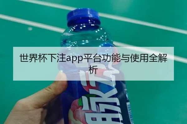 世界杯下注app平台功能与使用全解析
