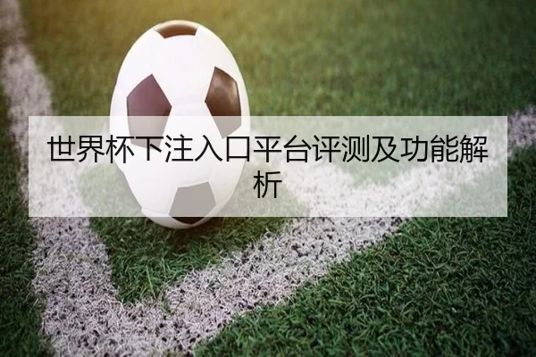世界杯下注入口平台评测及功能解析