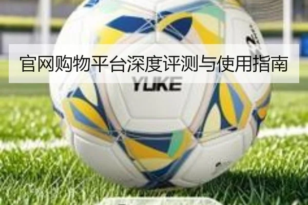 官网购物平台深度评测与使用指南