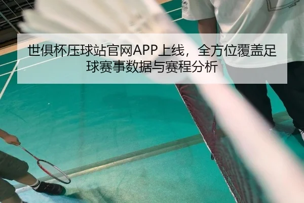 世俱杯压球站官网APP上线，全方位覆盖足球赛事数据与赛程分析